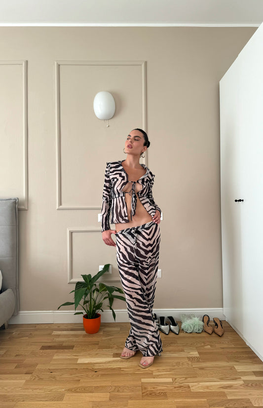 Zebra