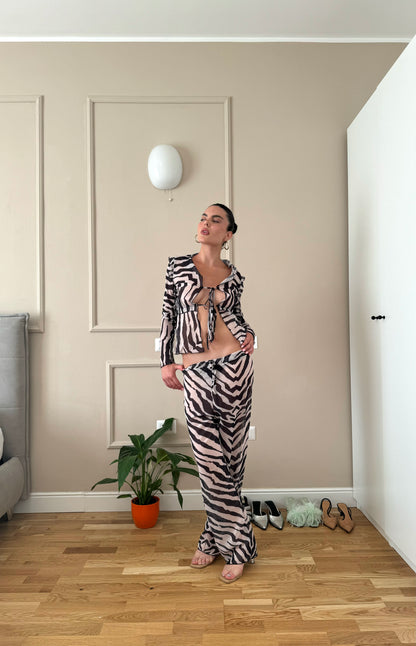 Zebra