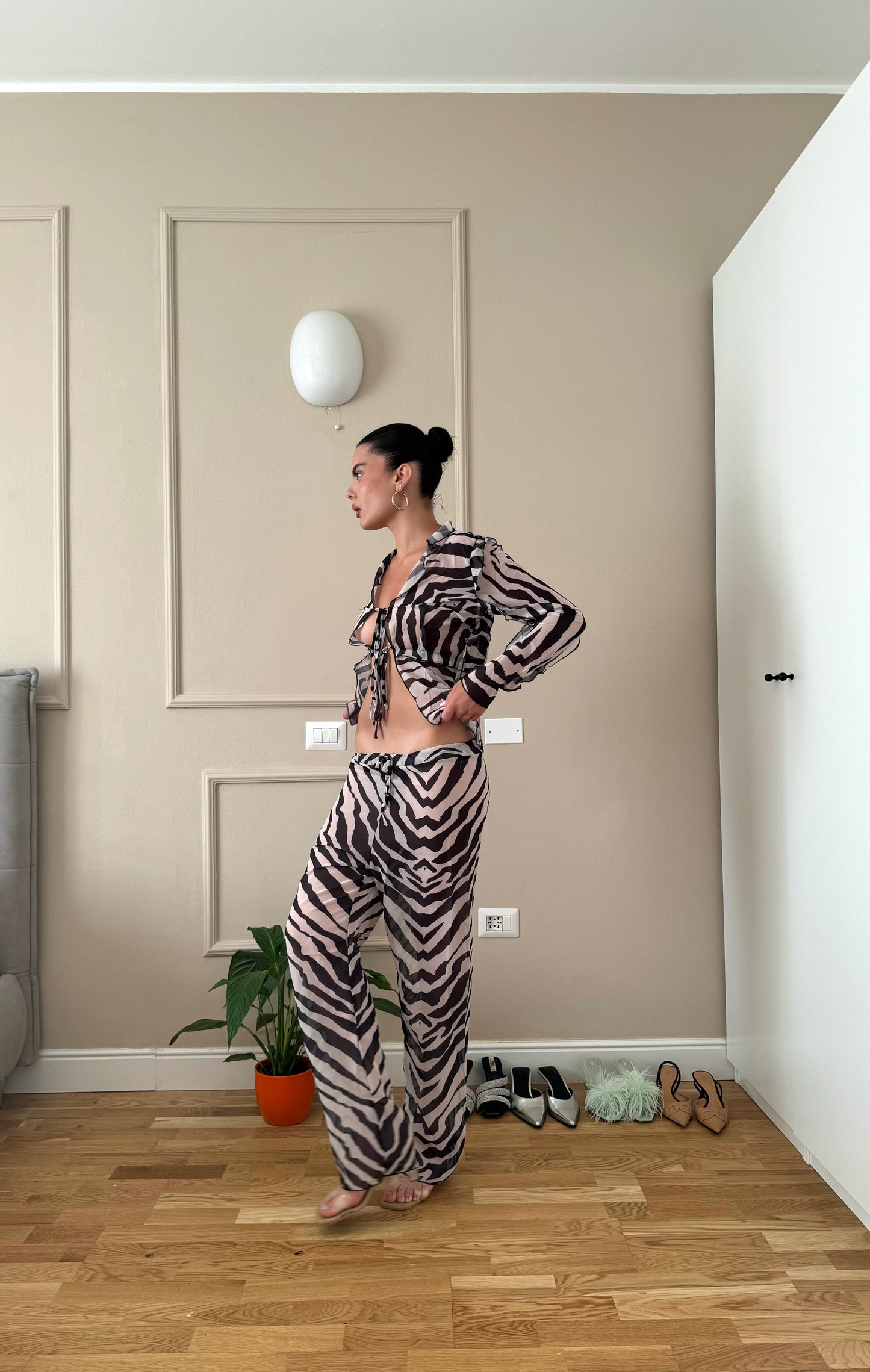 Zebra