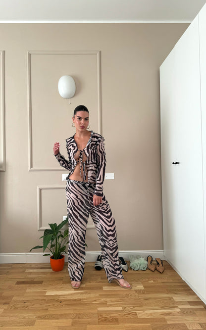 Zebra